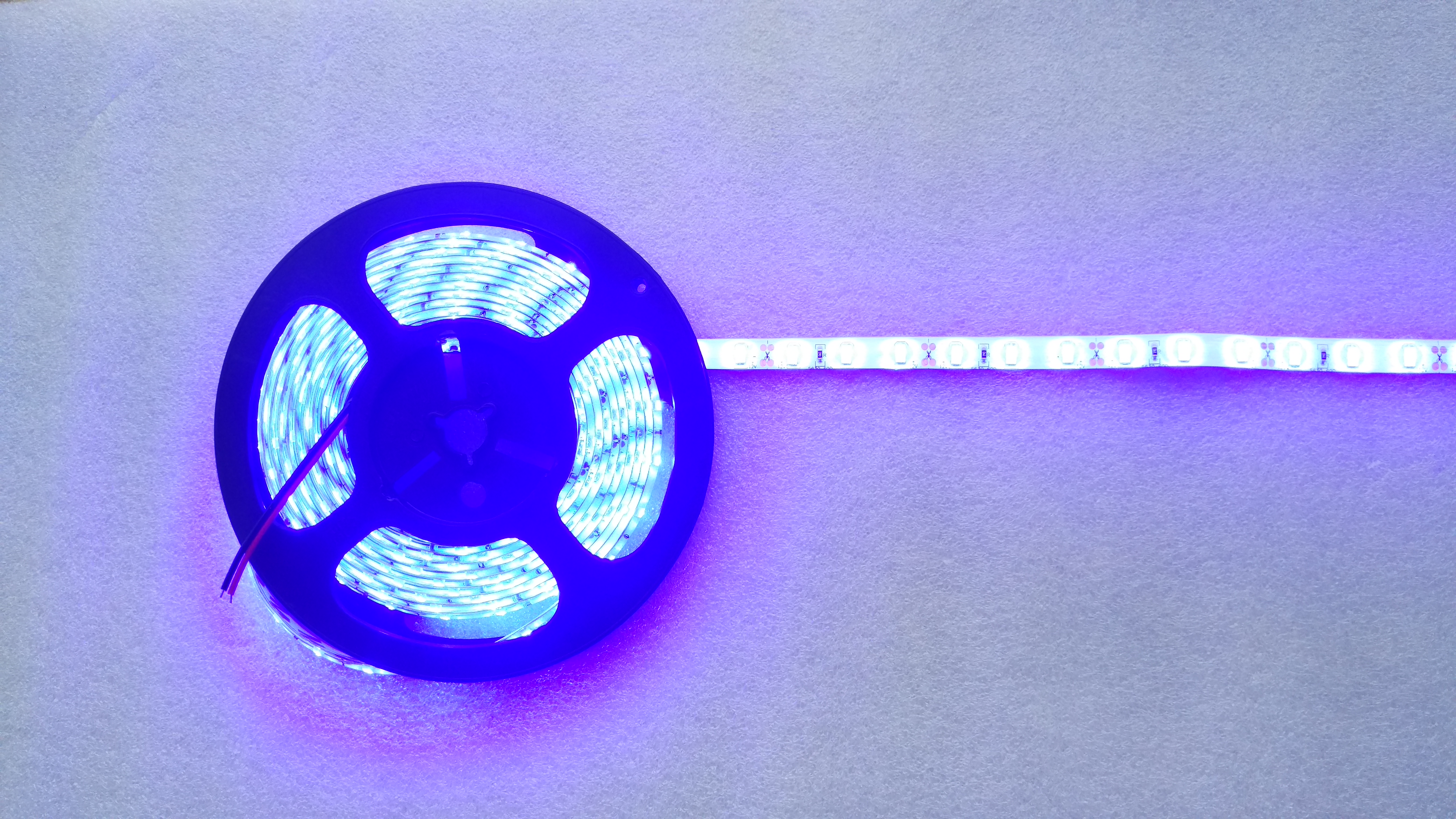 12V 5 meters 300 LEDs IP65 waterproof SMD 5630 5730 blue light LED strip